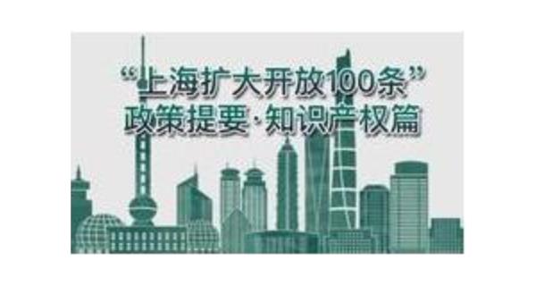 上海扩大开放100条